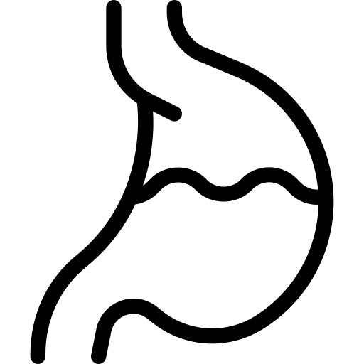 Stomach stomach internal organ body icon