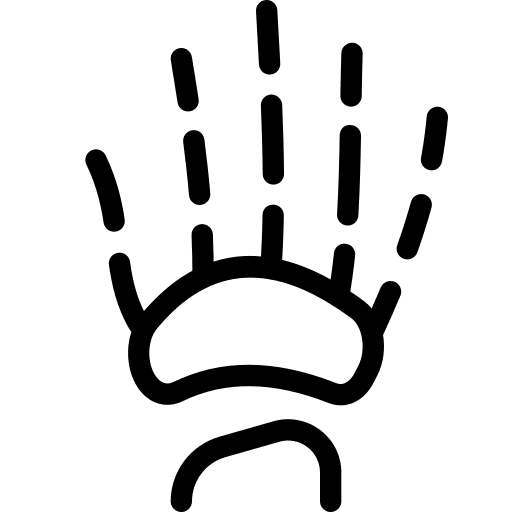 X ray hand bones skeleton people icon