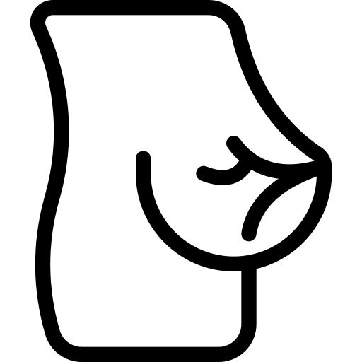 Breast healthcare and medical mammary gland breast icon