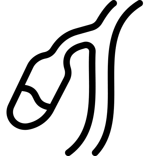 Gallbladder physiology education body part icon