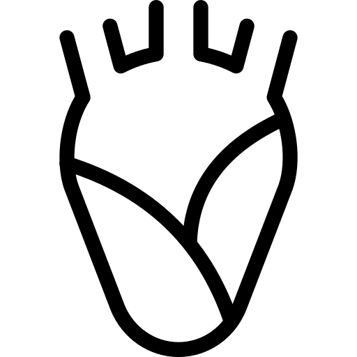 Heart healthcare and medical heart medical icon