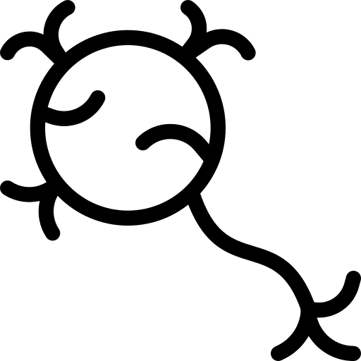 Neuron anatomy human human brain icon