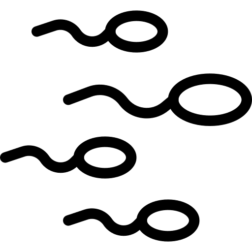 Sperm fertilization healthcare and medical sperms icon