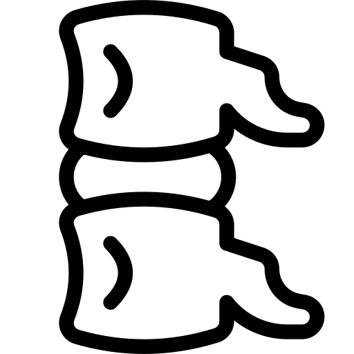 Spine body parts human organs spinal icon