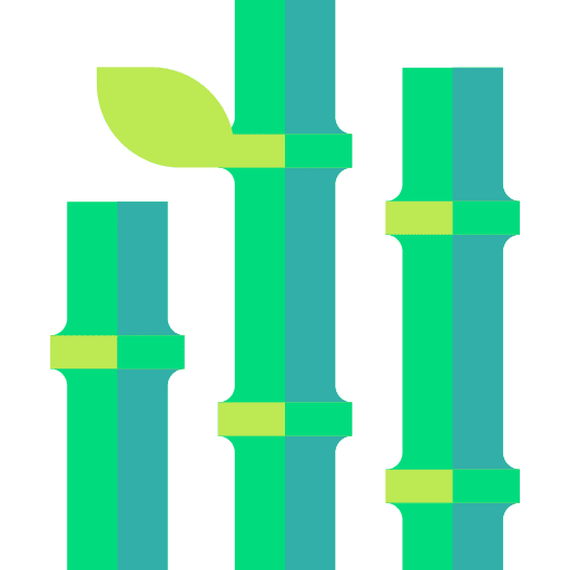 Bamboo botanical nature bamboo icon