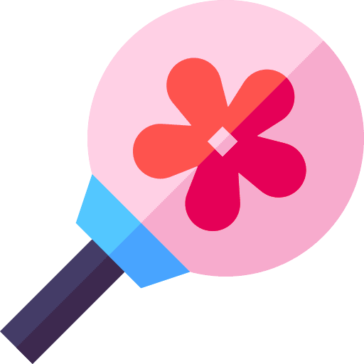 Souvenir sakura fashion fan icon