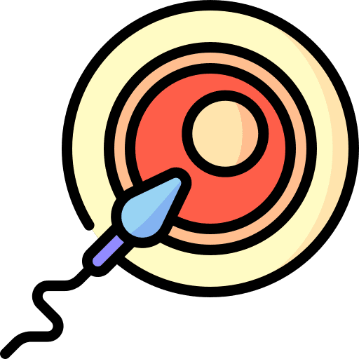 Fertilization pregnancy sperm fertility icon