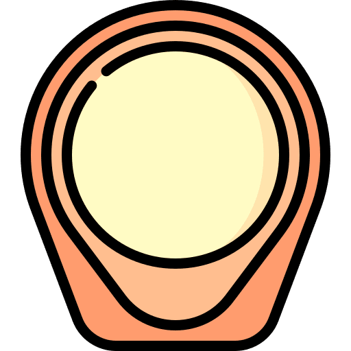 Diaphragm sex birth control contraception icon