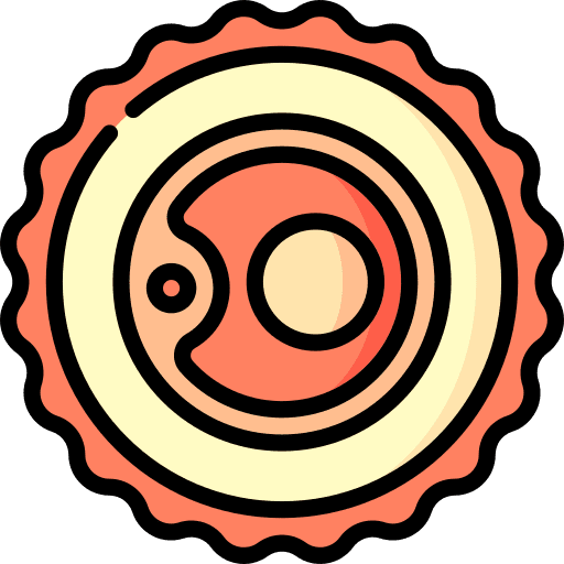 Ovum healthcare and medical fertilization reproduction icon