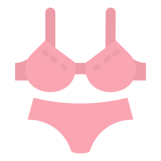 Bra bra clothes femenine icon