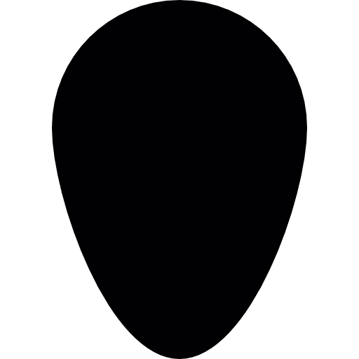 Egg shape shield shield secure shapes icon