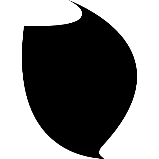 Leaf shaped shield weapons protection war defense icon