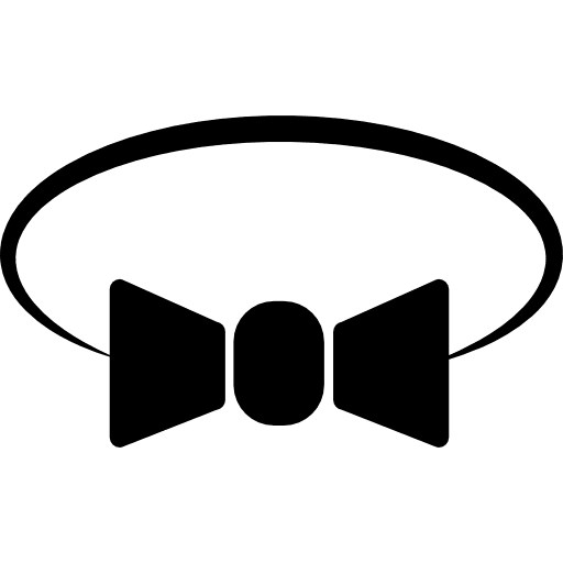 Bow tie variant formal attire bow tie fashion icon