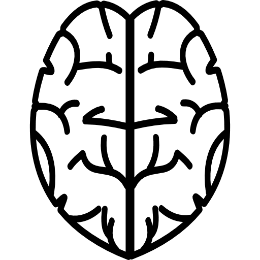 Brain brain shapes parts icon