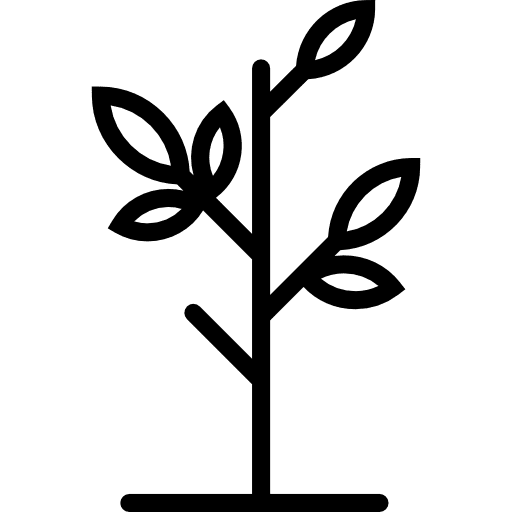 Sapling with leaves plants gardening trees icon