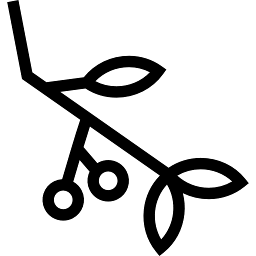 Stick with leaves tree sticks leaf icon