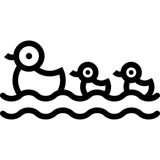 Three ducks bird water duck icon