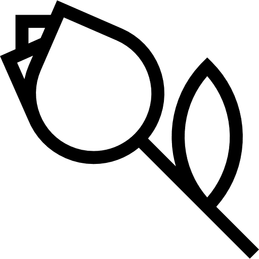 Tulip flowers nature leaf icon