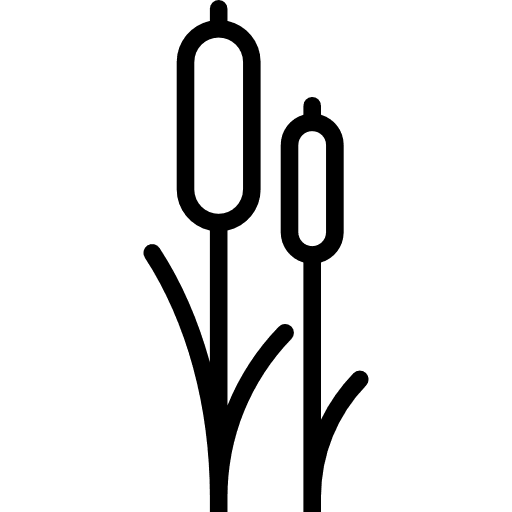 Two reeds plant leaves river icon