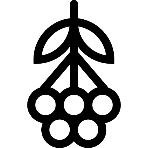 Grape rowan food fruits healthy icon