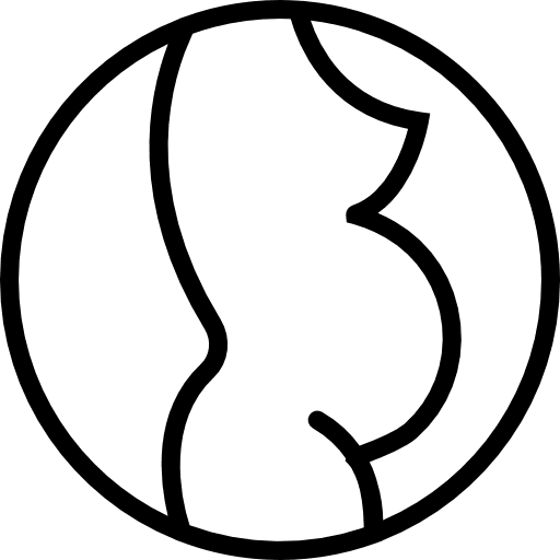 Pregnant pregnant babies people icon