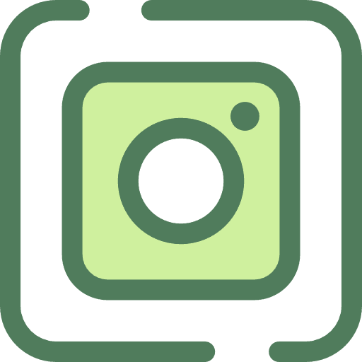Instagram brand social media ins icon