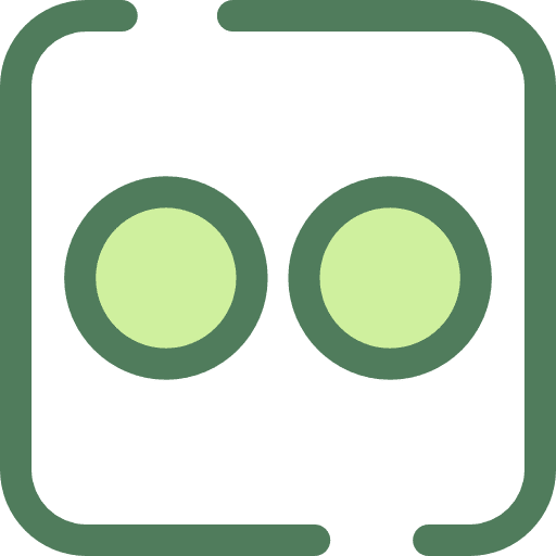 Flickr brands and logotypes logo social network icon