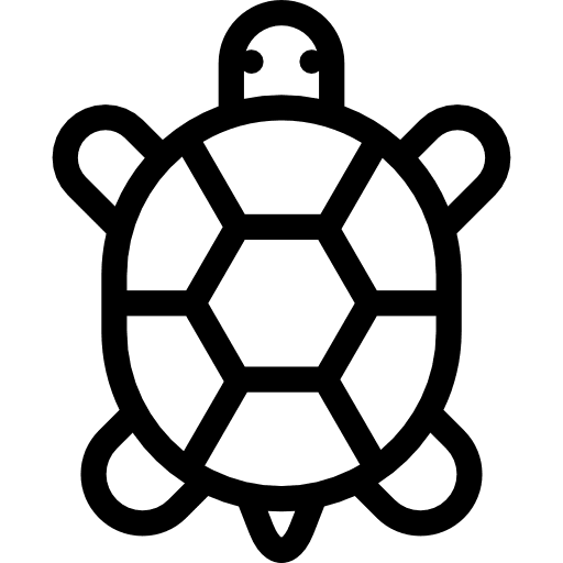 Tortoise amphibian pet animals icon