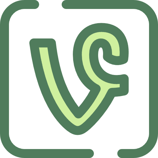 Vine social network social media logos icon
