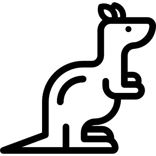 Kangaroo wild life animal kangaroo icon