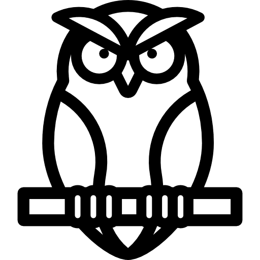 Owl owl animals bird icon