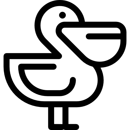 Pelican animals animal kingdom zoo icon