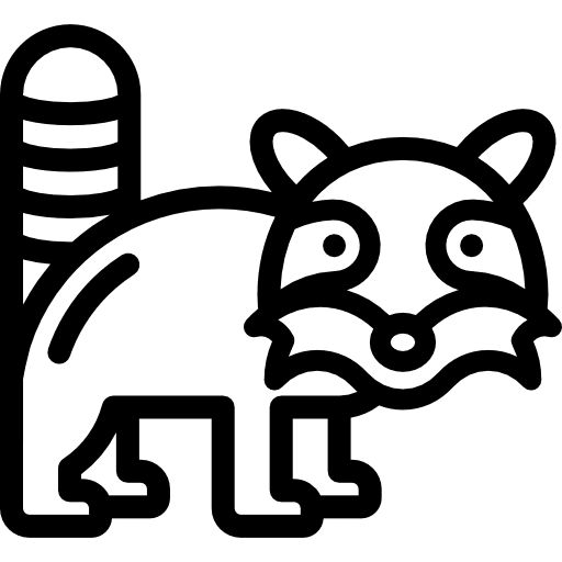 Raccoon wildlife zoo raccoon icon