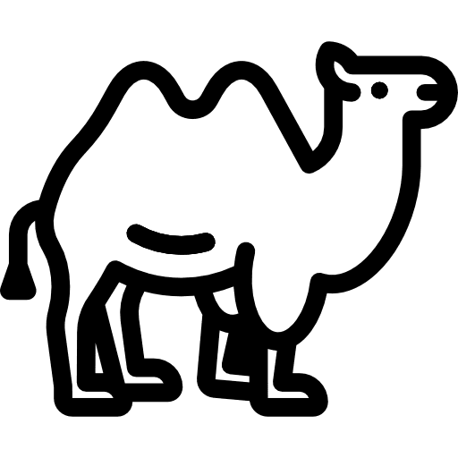 Camel animal animals wild life icon