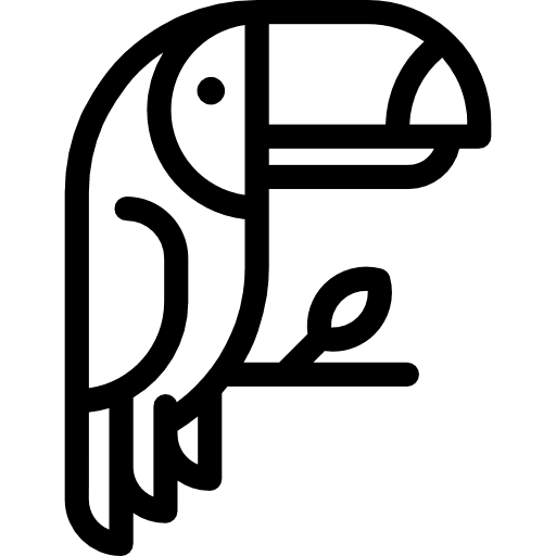 Toucan wild life animals toucan icon