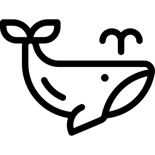 Whale sea life zoo wildlife icon