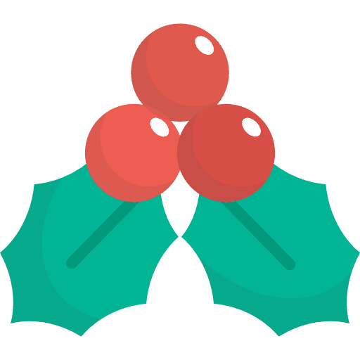 Mistletoe christmas ornament nature icon