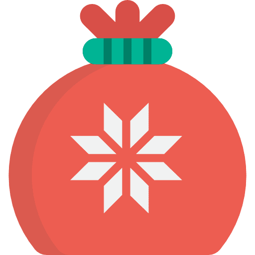 Gift bag present star surprise icon