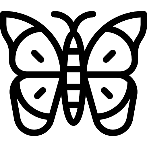 Butterfly wings animals insect icon