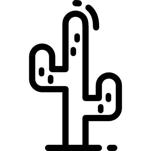 Cactus dessert nature botanical icon