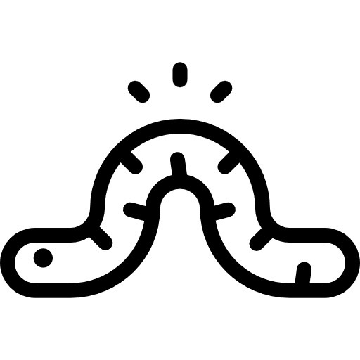 Worm insect animals earthworm icon