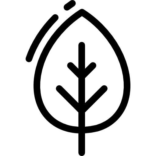 Leaf maple leaf fall nature icon