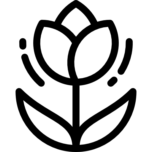 Tulip garden botanical nature icon
