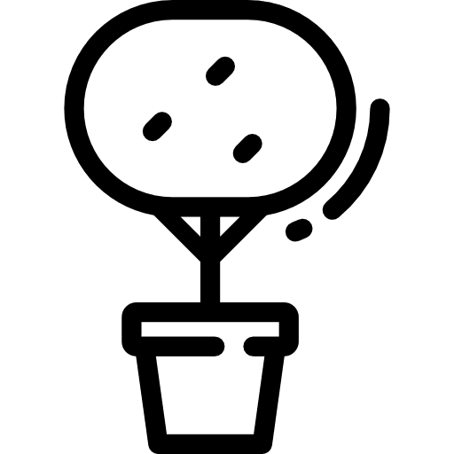 Bonsai bonsai plant botanical icon