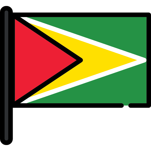 Guyana country flags world icon