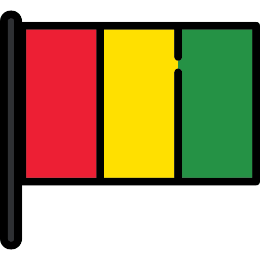 Guinea country flags world icon