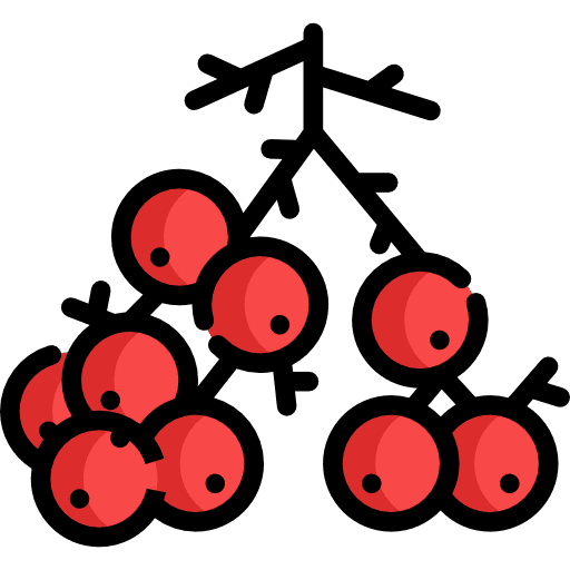 Berries fruit grape food icon