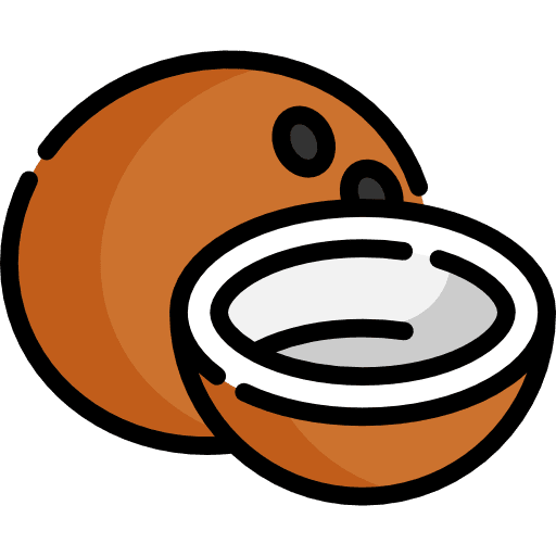Coconut drink coconuts natural icon