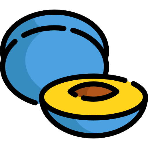Plum diet food plum icon