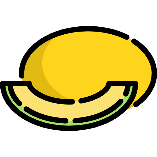 Melon healthy food organic vegetarian icon